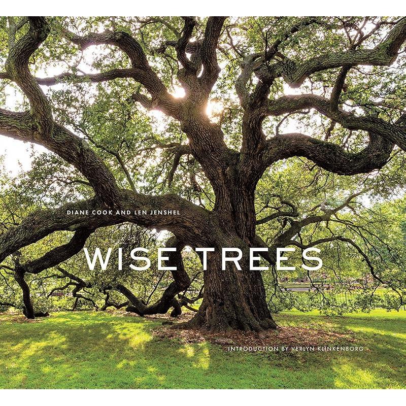 Wise Trees: Ancient trees photographed worldwide, each holding centuries of history in gnarled bark and roots.