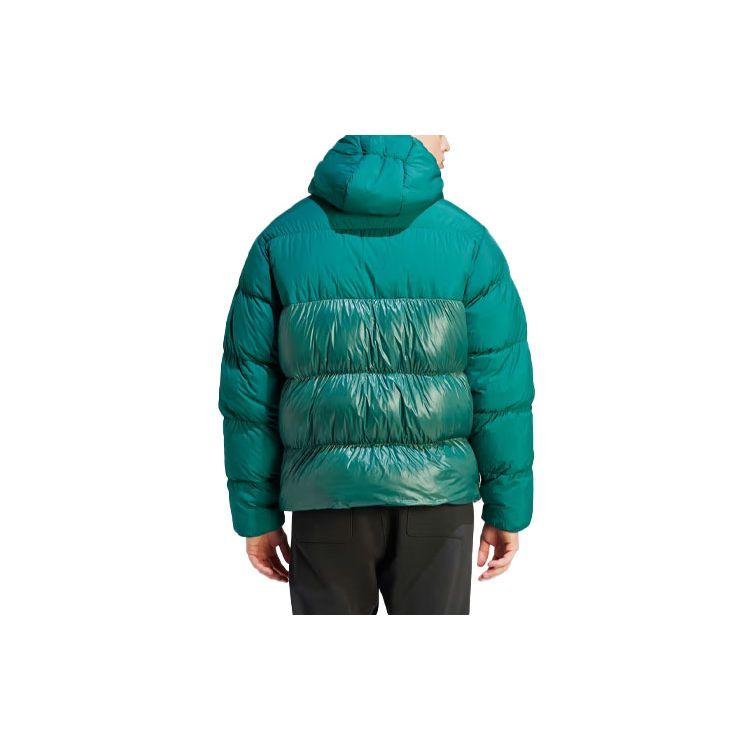 adidas Originals Adicolor Classics Daunen-Pufferjacke mit Kapuze Herren Oberbekleidung Grün IL2566