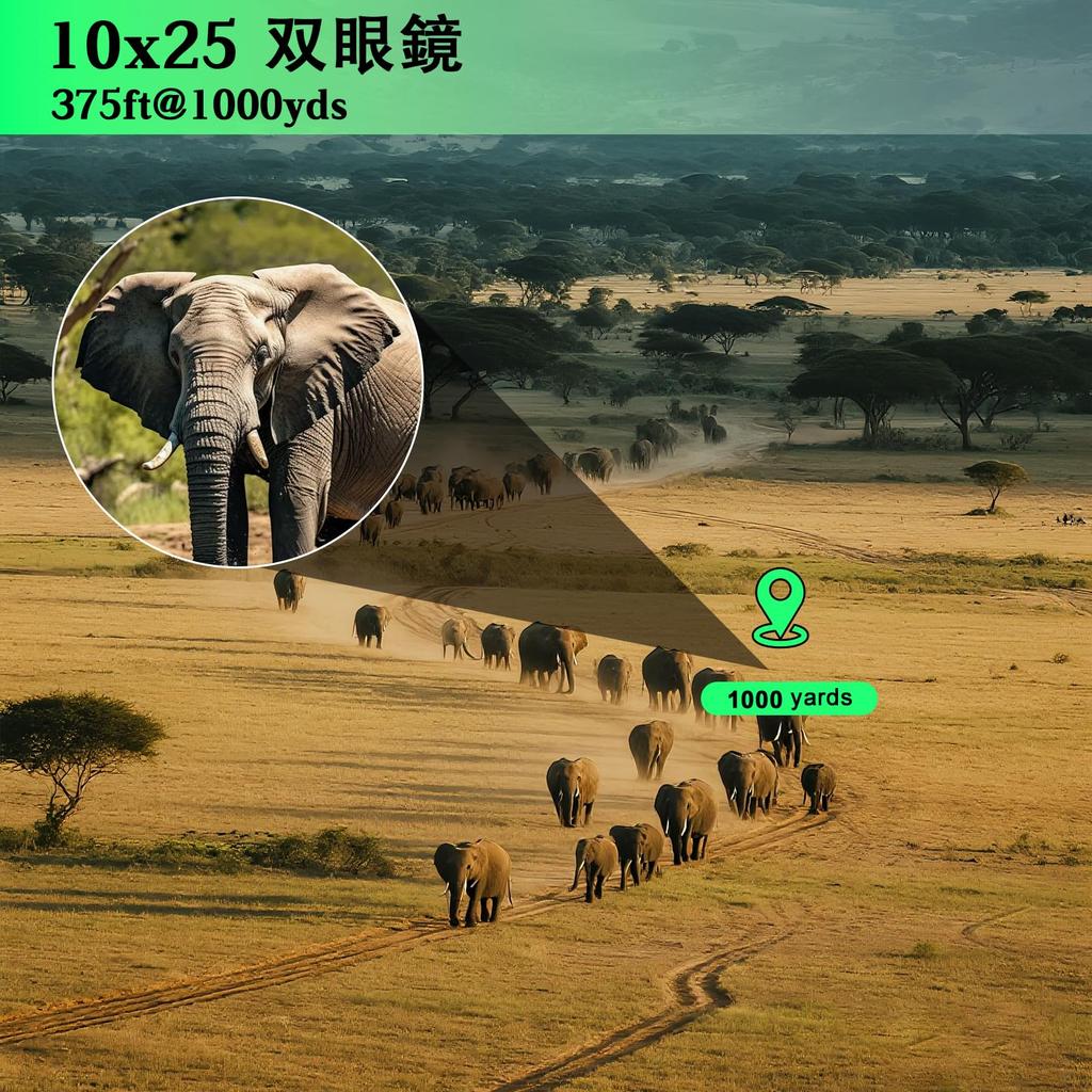 FOCUHUNTER 10x25 Compact Binoculars with Case and Focus BAK9 Prism Birdwatching Optics for Adults and Kids Wheel, Multi-Coated Telescope, Waterproof,