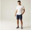 Regatta Sabastal Shorts