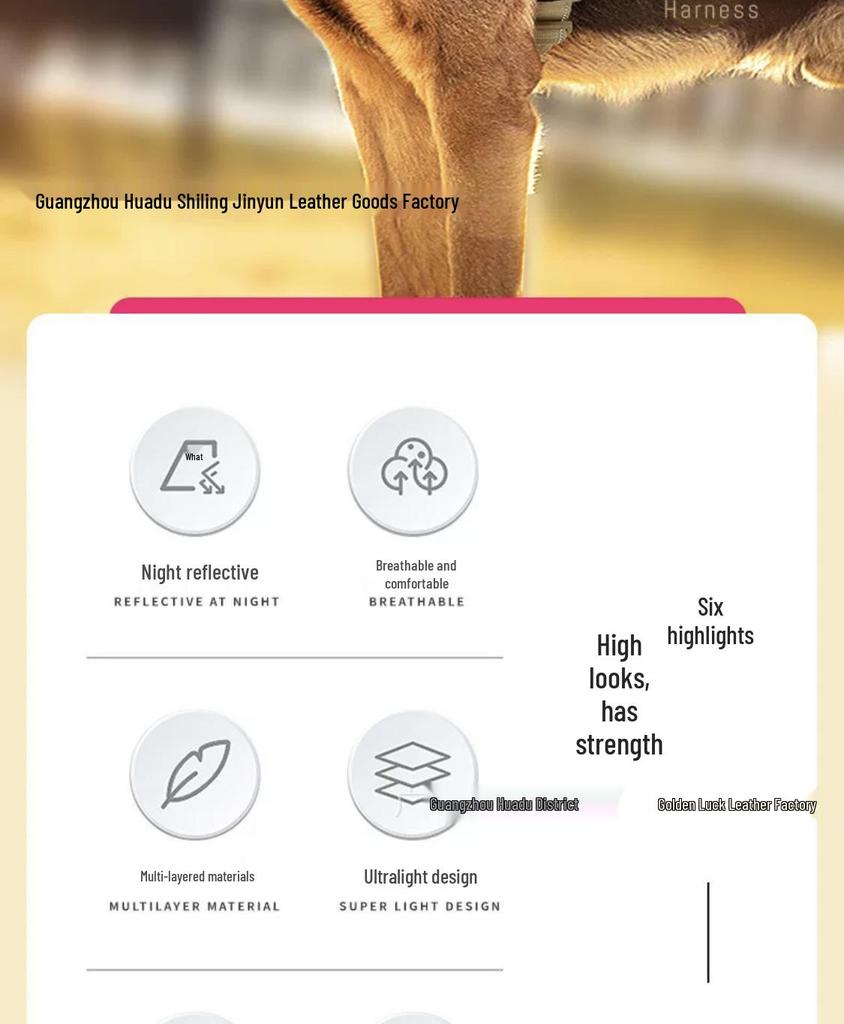 Neuer Stil Hunde Geschirr Weste Halsband für Große Rassen - Malinois, Golden Retriever, Deutscher Schäferhund, Border Collie
