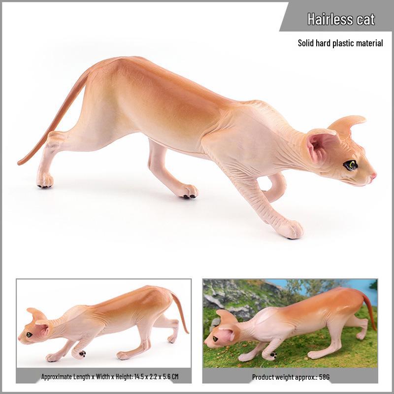 Canadian Hairless Sphynx Cat Model - Children s Cognitive Animal Ornament
