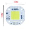 LED Chip COB Lamp 20W 30W 50W AC 220V 100V IP65 Smart IC No Need Driver DIY Flood Light Led Bulb Spotlight Outdoor Lamp Bead