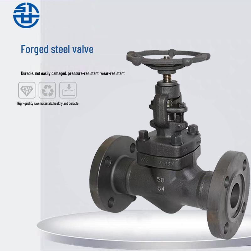 Small Diameter A105 Forged Steel Globe Gate Valve DN50 Butt Weld Flange