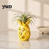 Decorative Window Sill Planter Hollow Pineapple Flower Vase for Air Plants, 3D Printed Geometric Small Plant Display Holder Planter, Desktop