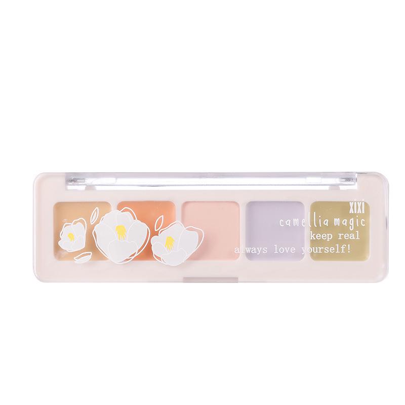 Xixi Concealer Cream: Perfect for acne scars, dark circles, and tear troughs. Moisturizing, natural, and available in five shades for beginners.