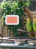 Bird Cage Heater Warming Panel Safe Thermostat Controlled Pet Warmer for Parakeets Cockatiels Finches Rabbits Hamsters Winter
