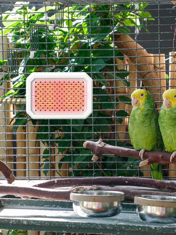 Bird Cage Heater Warming Panel Safe Thermostat Controlled Pet Warmer for Parakeets Cockatiels Finches Rabbits Hamsters Winter