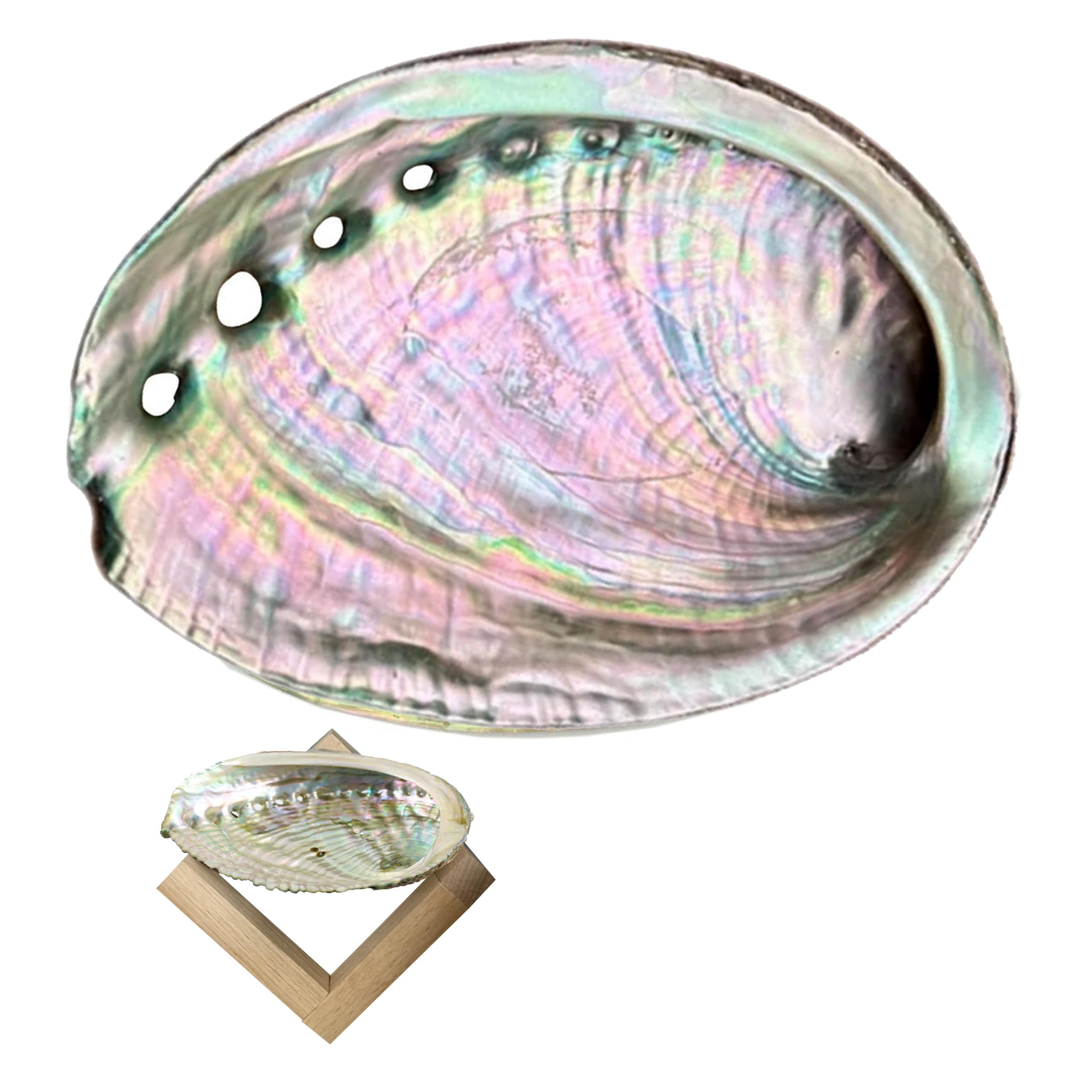 

Очищающая тарелка с белым шалфеем, тарелка для пало санто, тарелка для шалфея, палочка шалфея и ракушка для очищения, белый шалфей, ракушка Авалон, очищение, исцеление (Оболочка