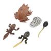Animal Figure Toys PVC Compact Realistic Children Cognitive Growth Cycle Animal Model Frog Toy for