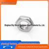 304 Stainless Steel Thin Fine Thread Lock Hex Nut