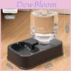 Pet Mate Automatic Cat Water Fountain With Large Capacity For Hydration And Feeding