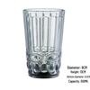 Embossed Glass Tumbler: Versatile Cup for Mouthwash, Juice, Milk, or Beer