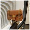Manufacturer Wholesale Women's Bags Bags2025 New Fashion Printed Chain Bag Shoulder Bag Crossbody Small Square Bag
