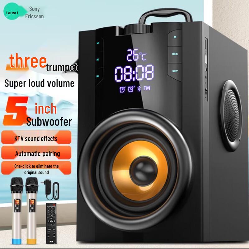 Soaiy SA-Q32 Portable Outdoor Karaoke Speaker with Dual Mics