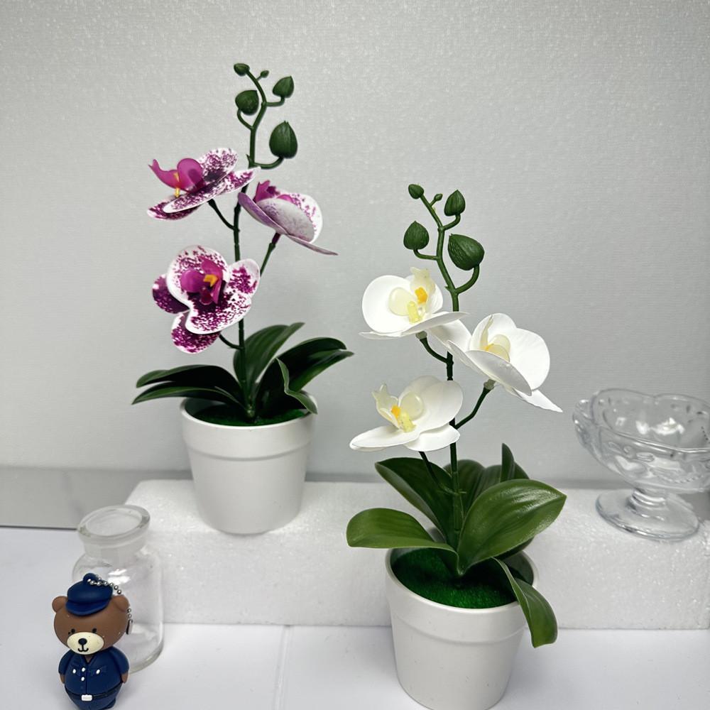 Orchidee Realistischer Schmetterling Grüne Pflanzen Topfpflanzen für Innendekorationen