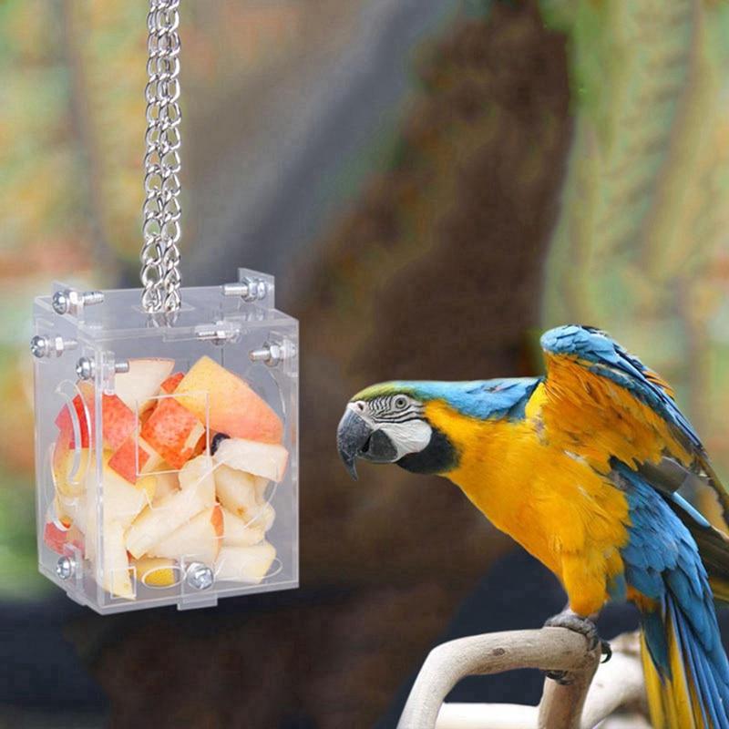 bird puzzle feeder