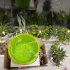 2/6/10 Pcs Automatic Plant Waterer Adjustable Siphon Drip Irrigation Device for Travel Garden Potted Plants Vegetables