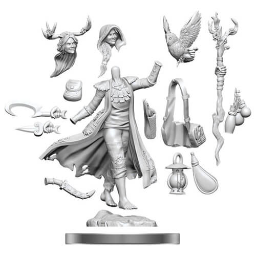 D&D Frameworks Miniature Model Kit (Human Druid F)