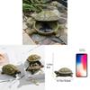 Schildkrötenharz-Aufbewahrungsbox im modernen minimalistischen Design für die Wohnzimmerdekoration