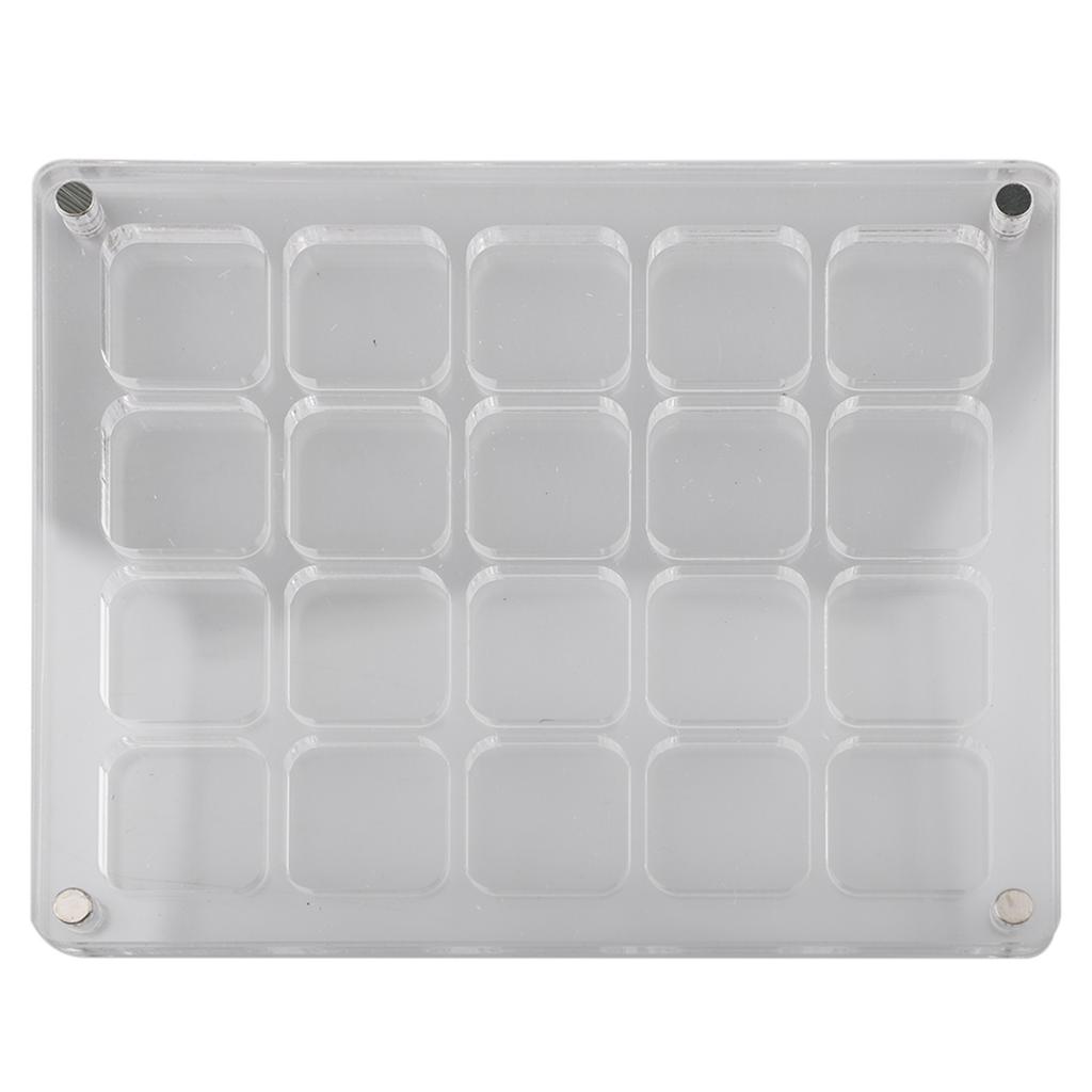 Transparent Mini Shell Storage Solution in Acrylic Material