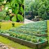 Plant Bird Netting for Vegetables, Specialized for Flowers, Insect Protection Mesh, Bird Repellent Net, Garden Protection Net1Pi