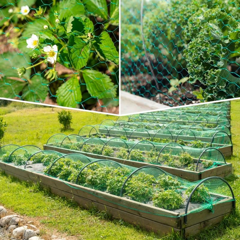 Plant Bird Netting for Vegetables, Specialized for Flowers, Insect Protection Mesh, Bird Repellent Net, Garden Protection Net1Pi