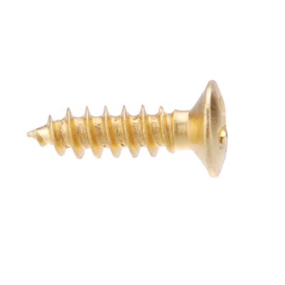 50 Schrauben vergoldet 3 mm für Fender Strat Tele E-Gitarre Schlagbrett Schlagbrett