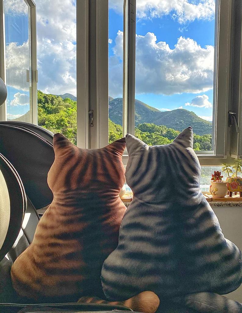 Homehalo Polštář na tělo pro kočku, Měkký polštář z paměťové pěny, Pratelný potah, Polštář na spaní, Zklidňující polštář na tělo, Roztomilý, Pohodlný polštář na tělo, Kočičí plyš