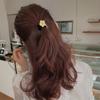 Cute Girl Metal Flower Hair Band, Sweet Hair Tie, Simple and Versatile Hair Tie, Hair Accessory and Headwear