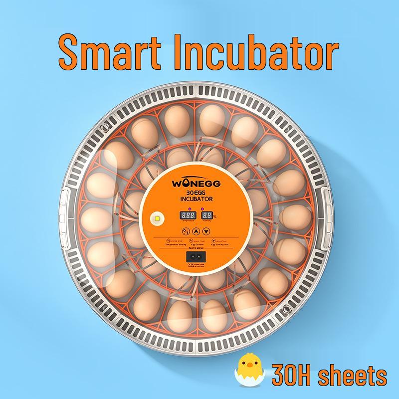 Smart Mini Egg Incubator for Parrots and Budgies: Automatic Pet Hatchery Equipment