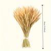 50 Stück Hochwertige Natürliche Weizenähren - DIY Bauernhausdeko, Tischmittelstück, Hochzeit- & Party-Verzierung, Erntekranz
