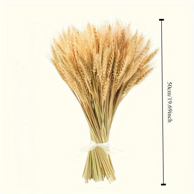 50 Stück Hochwertige Natürliche Weizenähren - DIY Bauernhausdeko, Tischmittelstück, Hochzeit- & Party-Verzierung, Erntekranz