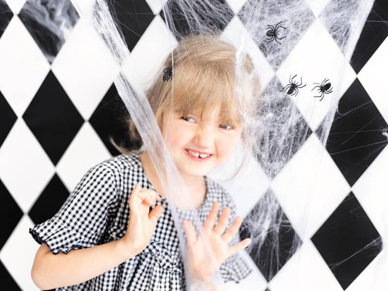Halloween Decorative Spiderweb + Spiders, White, 60g