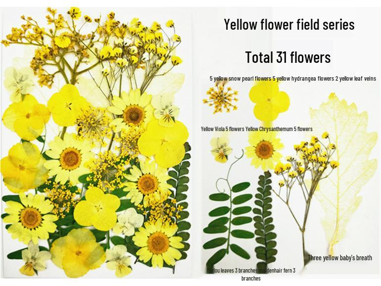 Handmade Kindergarten Collage: Real Dried Leaf and Flower Stickers for Face and Photo Decoration