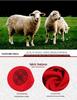Fu Character Red Wool Cardigan - Jia Ling's Spring Festival Knitted Sweater for Middle-aged and Elderly Couples