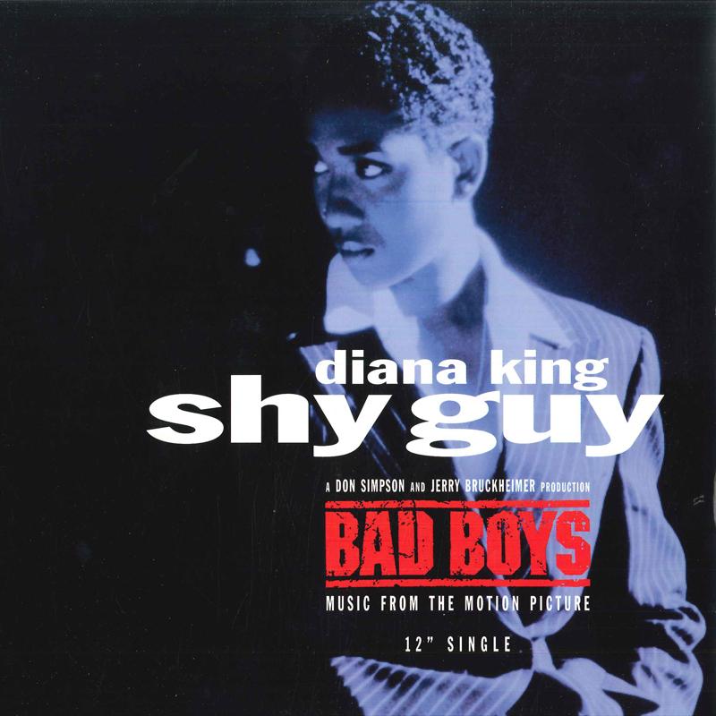 

12inch Record DIANA KING - Shy Guy 4277679 WORK 1995 US Rap & Hip-Hop/R&B Used