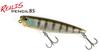 DUO Realis Pencil 85 Topwater Floating Lure AJA3055 (1089)