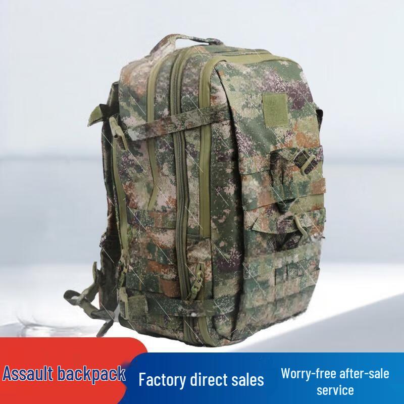 Tactical Assault Backpack