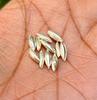 11 Pc 999 Silver Hindu Religious Rice Grains / Wheat Grains for Puja Pooja 8 Mm, Temple Pooja Hindu Religion Free Ship