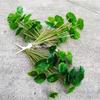 1Pc Artificial Lotus Leaves  Artificial Plant Leaves Faux Plant Realistic Simulation Plant Lotus DIY Craft Home Table Living Ro