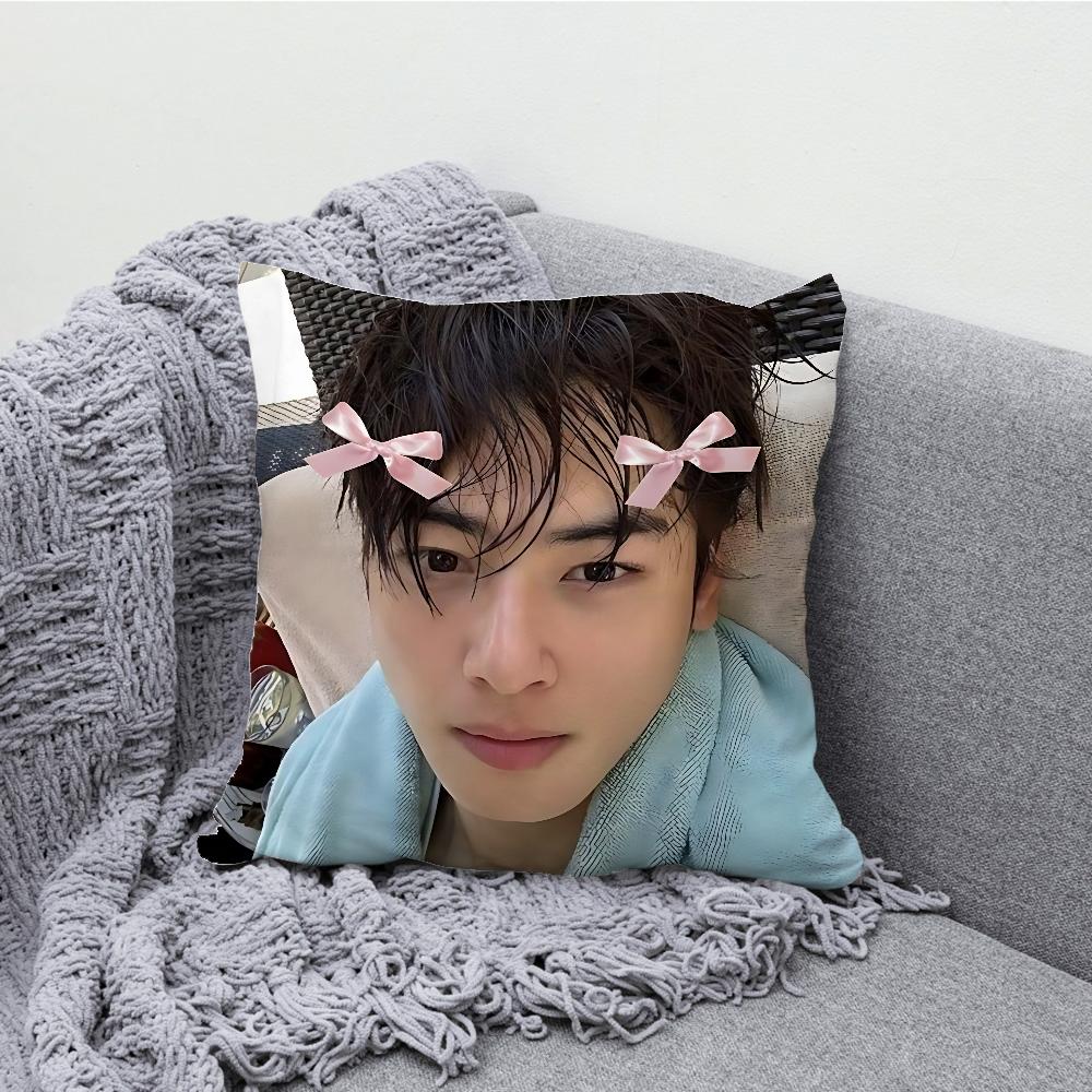 Korea Actor C-Cha Eun W-Woo Pillow Case Soft Cushion Cases for Farmhouse Sofa Decor Home Decorations and Protector Pillow Case 40cmx40cm