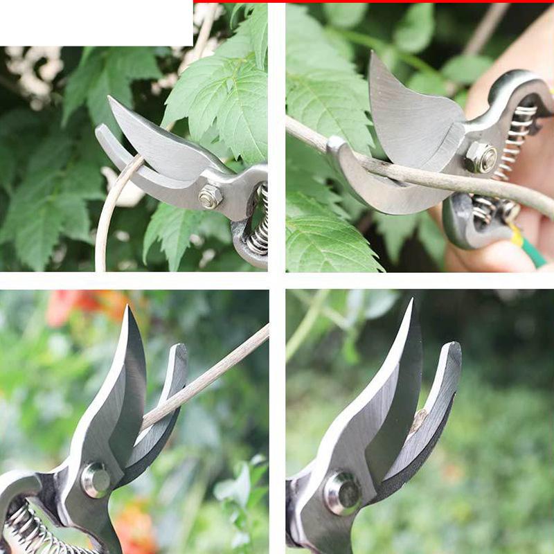 Für Scheren Gartengerät Häcksler Astschere Freischneider Werkzeug Baumpfleger Obstgarten Gartengeräte Handwerkzeuge Bonsai