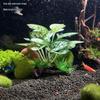 Aquarium Decoration: Simulated Driftwood, Seaweed, and Silk Leaves Ornaments