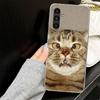 Pet Cat Funny Memes Case for Samsung A17 A16 A56 A36 A26 A15 A55 A35 A25 A14 A54 A34 A24 Phone Cover A13 A53 A33 A23 A05S A04S