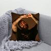 Singer P-Post Malone Rapper Pillow Case Soft Cushion Cases for Farmhouse Sofa Decor Home Decorations and Protector Pillow Case