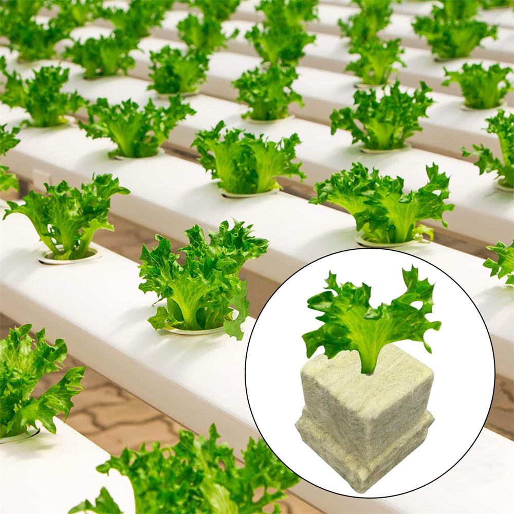 100Pcs Garden 1" X 1" Seed Starter Plugs Rockwool Cutting Clones Cubes Propagation