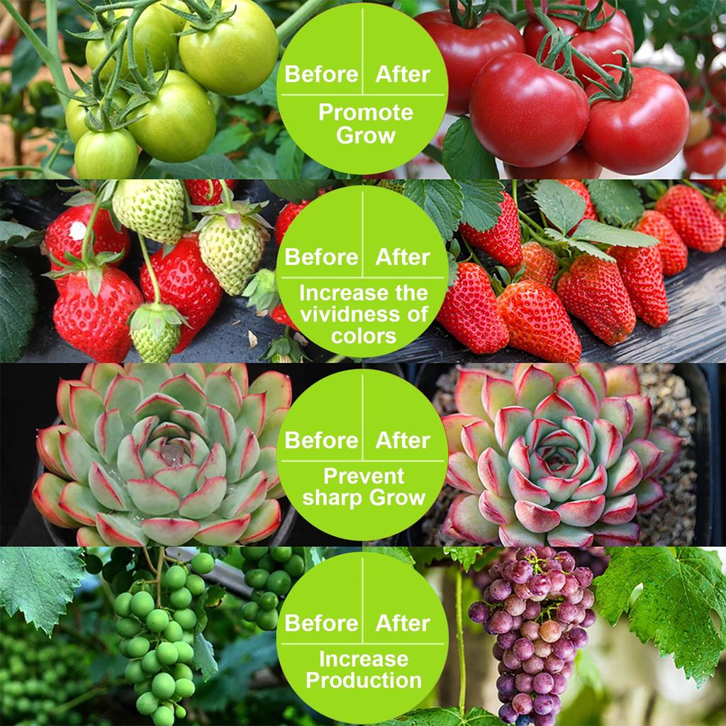 LED Grow Light US Full Spectrum Grow Lamp Indoor Succulent Growing Light Hanging Vegetable Seedling Lamp for Seedling Hydroponic