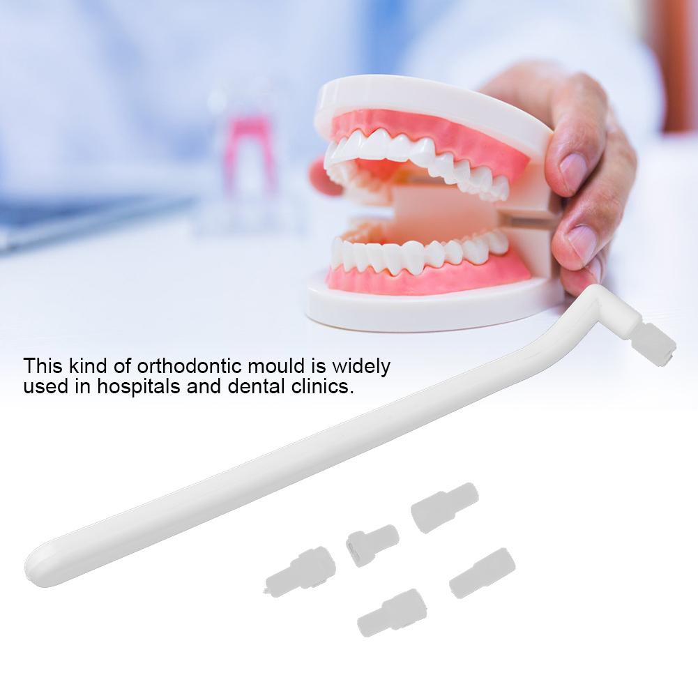 1 Set Dental Orthodontic Mold Mini Aesthetics Orthodontic Accessories for Hospital Dental Clinic