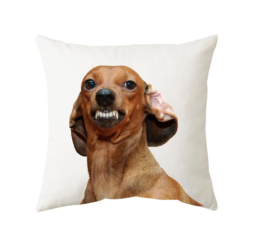 45x45cm Cute Cat Cushion Cover Polyester Throw Pillow For Bed Living Room Sofa Office Seat Car Kids  Decor Home